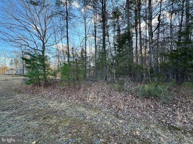 LOT 102 ACORN DR, MINERAL, Virginia 23117, ,Land,For sale,LOT 102 ACORN DR,VALA2007412 MLS # VALA2007412