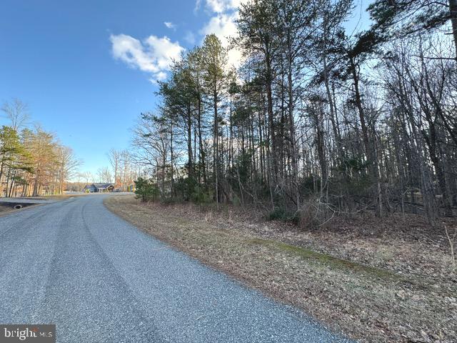 LOT 102 ACORN DR, MINERAL, Virginia 23117, ,Land,For sale,LOT 102 ACORN DR,VALA2007412 MLS # VALA2007412