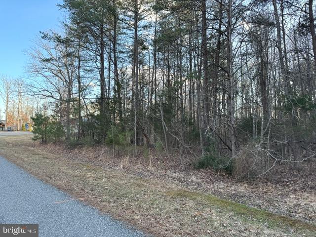 LOT 102 ACORN DR, MINERAL, Virginia 23117, ,Land,For sale,LOT 102 ACORN DR,VALA2007412 MLS # VALA2007412