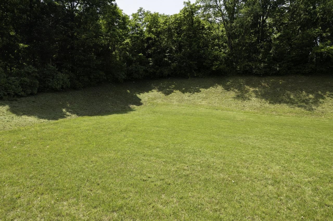 00 LEE HWY, WEYERS CAVE, Virginia 24486, ,Land,00 LEE HWY,642247 MLS # 642247