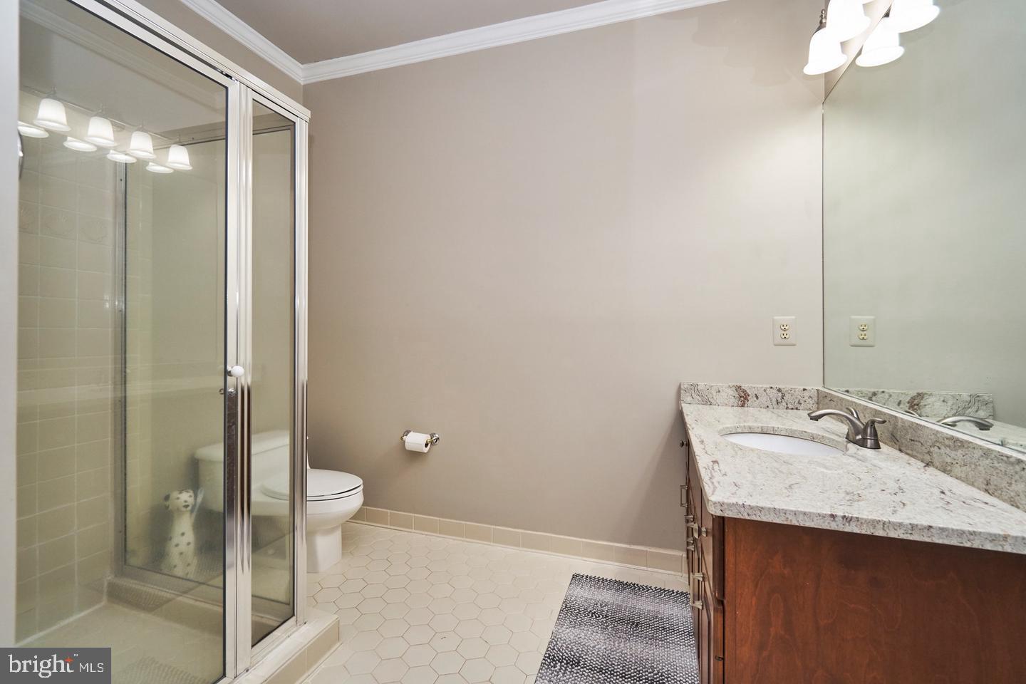 6830 CLIFTON RD, CLIFTON, Virginia 20124, 5 Bedrooms Bedrooms, ,5 BathroomsBathrooms,Residential,For sale,6830 CLIFTON RD,VAFX2223232 MLS # VAFX2223232