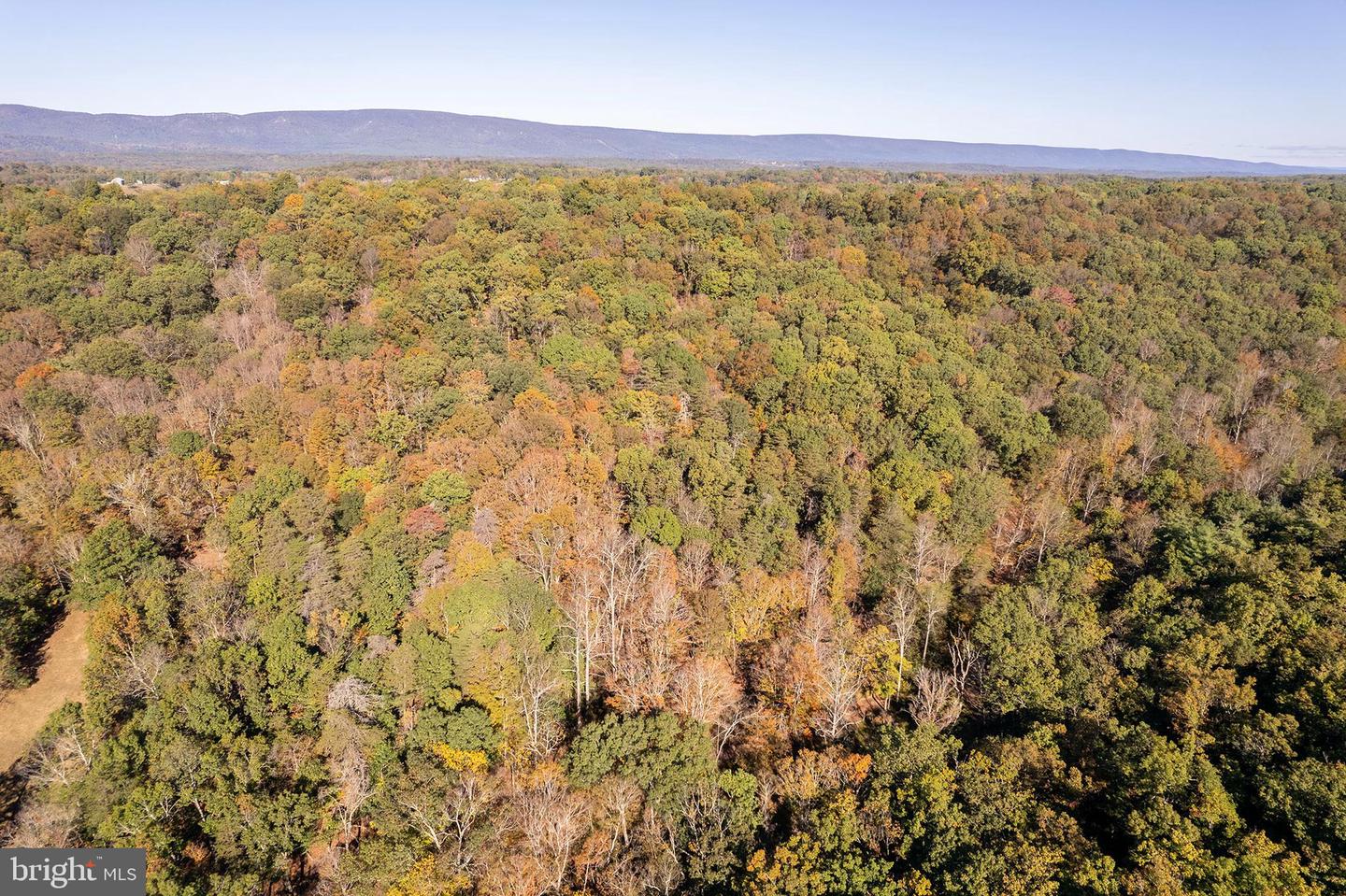 LOT 5 SNAKE DR., WINCHESTER, Virginia 22603, ,Land,For sale,LOT 5 SNAKE DR.,VAFV2037358 MLS # VAFV2037358