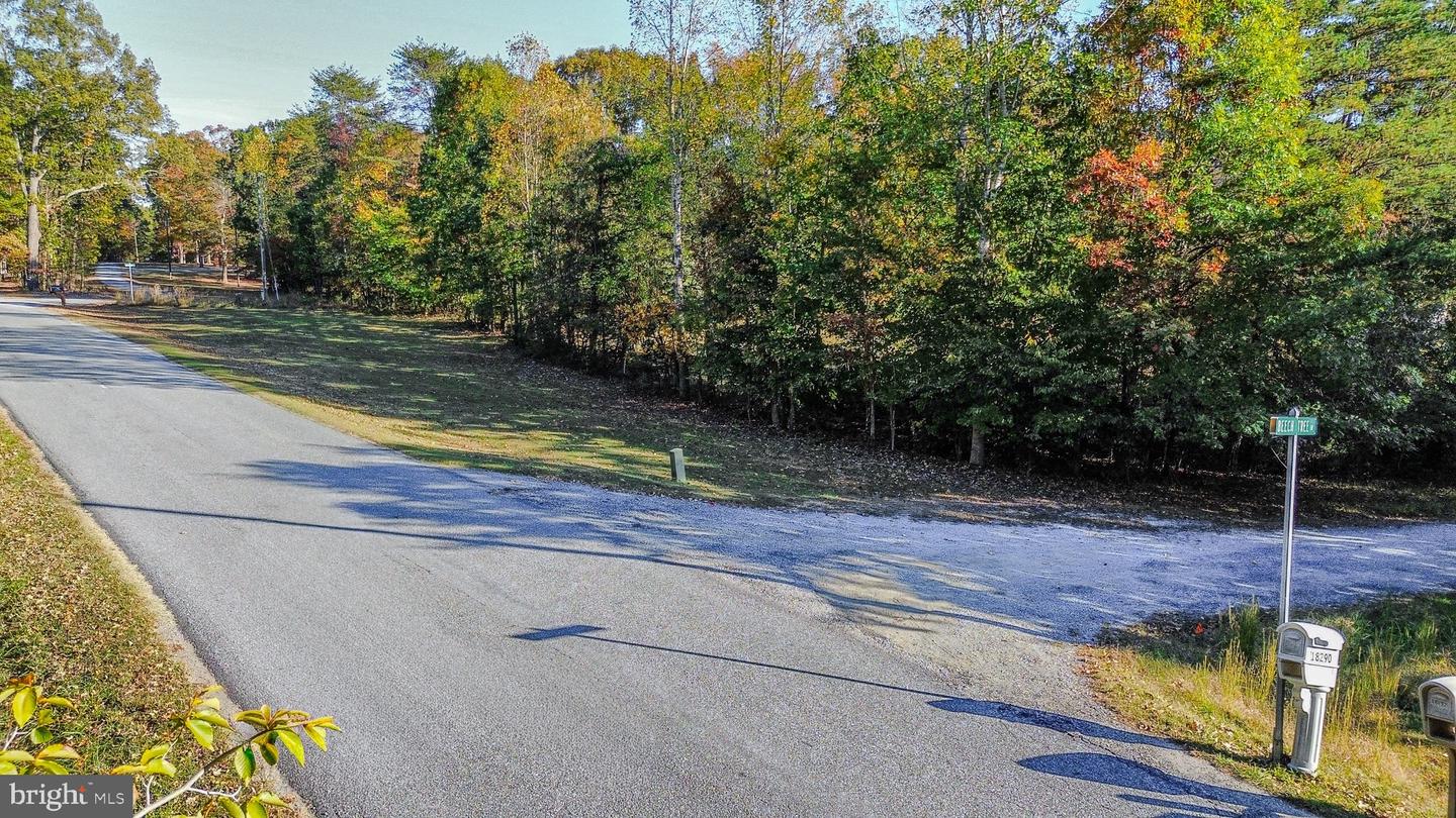 LOT 7 BEECH TREE ROAD, ORANGE, Virginia 22960, ,Land,For sale,LOT 7 BEECH TREE ROAD,VAOR2012544 MLS # VAOR2012544