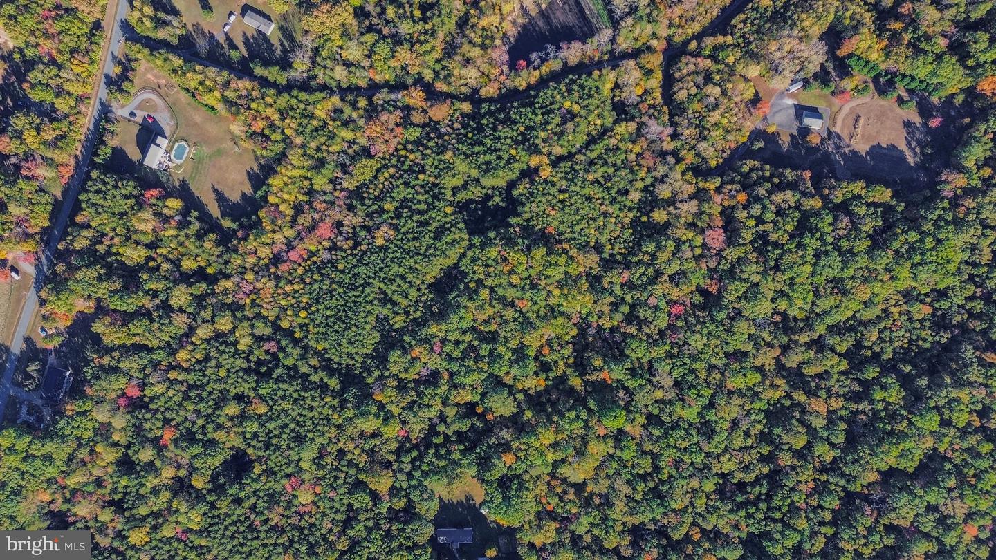 LOT 7 BEECH TREE ROAD, ORANGE, Virginia 22960, ,Land,For sale,LOT 7 BEECH TREE ROAD,VAOR2012544 MLS # VAOR2012544