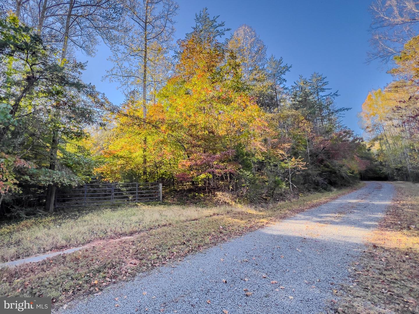 LOT 7 BEECH TREE ROAD, ORANGE, Virginia 22960, ,Land,For sale,LOT 7 BEECH TREE ROAD,VAOR2012544 MLS # VAOR2012544
