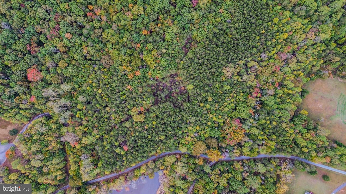 LOT 7 BEECH TREE ROAD, ORANGE, Virginia 22960, ,Land,For sale,LOT 7 BEECH TREE ROAD,VAOR2012544 MLS # VAOR2012544