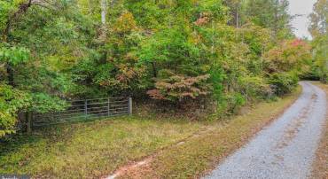 LOT 7 BEECH TREE ROAD, ORANGE, Virginia 22960, ,Land,For sale,LOT 7 BEECH TREE ROAD,VAOR2012544 MLS # VAOR2012544