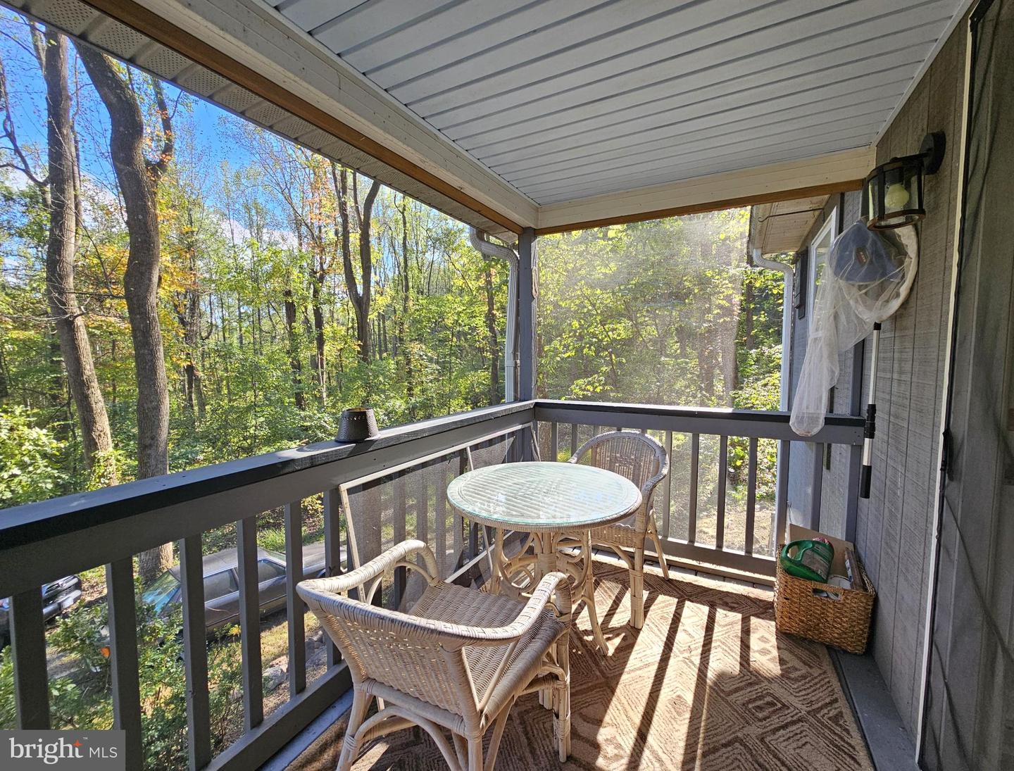 1043 RIDER HOLLOW LN, ETLAN, Virginia 22719, 1 Bedroom Bedrooms, 5 Rooms Rooms,1 BathroomBathrooms,Residential,For sale,1043 RIDER HOLLOW LN,VAMA2002490 MLS # VAMA2002490