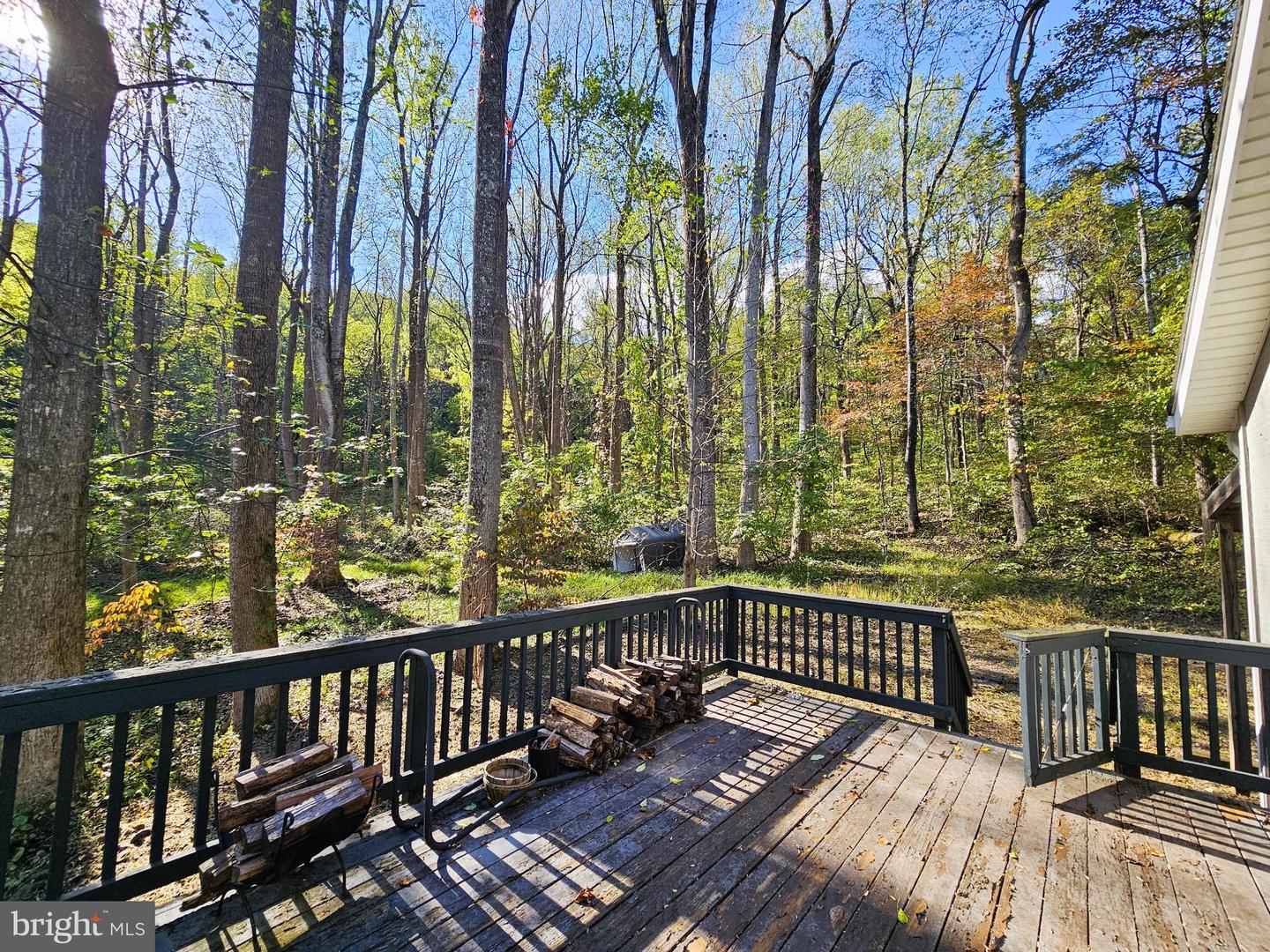 1043 RIDER HOLLOW LN, ETLAN, Virginia 22719, 1 Bedroom Bedrooms, 5 Rooms Rooms,1 BathroomBathrooms,Residential,For sale,1043 RIDER HOLLOW LN,VAMA2002490 MLS # VAMA2002490