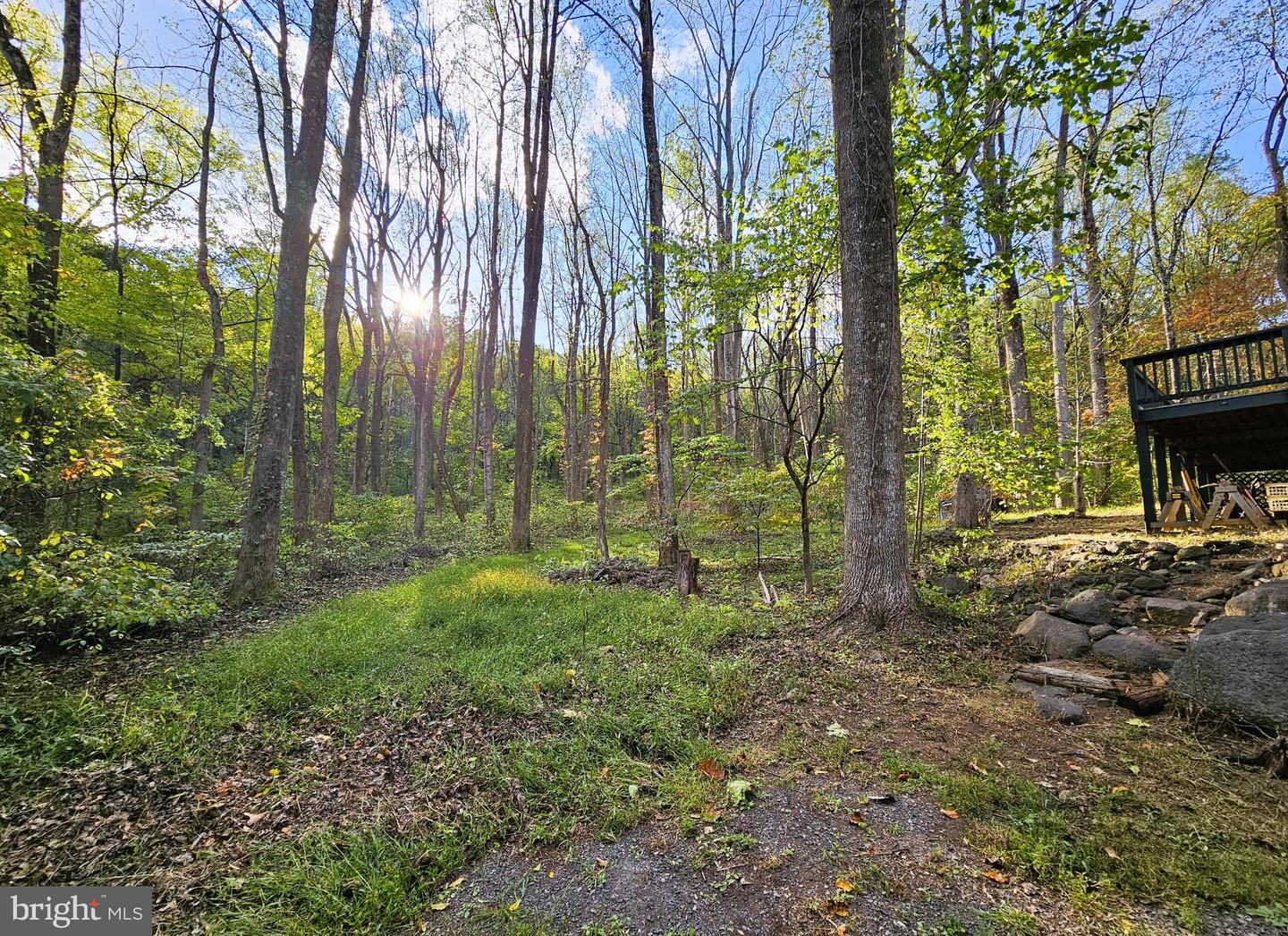 1043 RIDER HOLLOW LN, ETLAN, Virginia 22719, 1 Bedroom Bedrooms, 5 Rooms Rooms,1 BathroomBathrooms,Residential,For sale,1043 RIDER HOLLOW LN,VAMA2002490 MLS # VAMA2002490