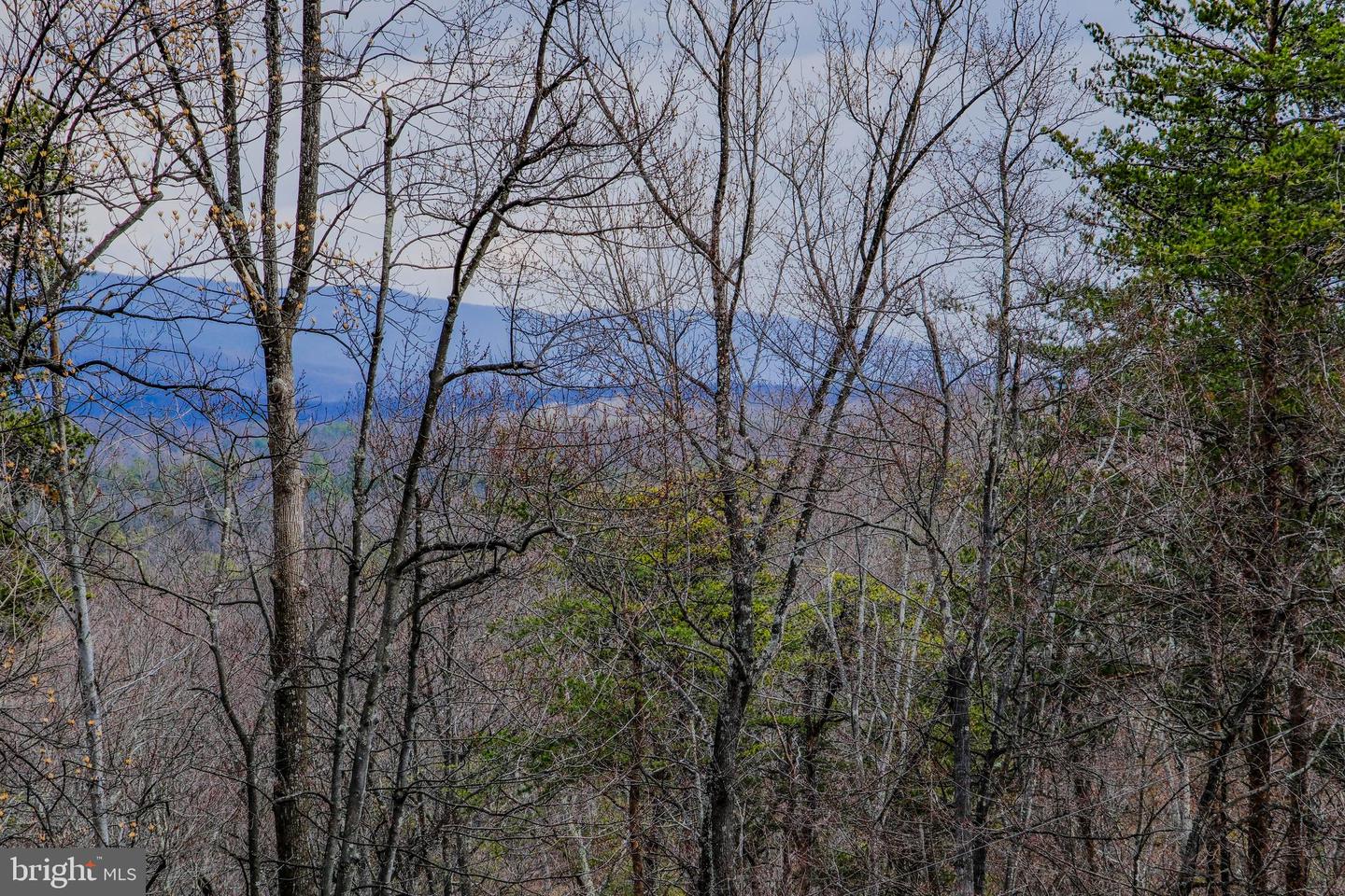 642 PADDYS RUN RD, STAR TANNERY, Virginia 22654, 2 Bedrooms Bedrooms, ,2 BathroomsBathrooms,Residential,For sale,642 PADDYS RUN RD,VAFV2037416 MLS # VAFV2037416