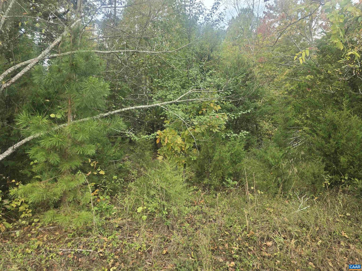 1337 SALEM CHURCH RD, PALMYRA, Virginia 22963, ,Land,For sale,1337 SALEM CHURCH RD,670068 MLS # 670068