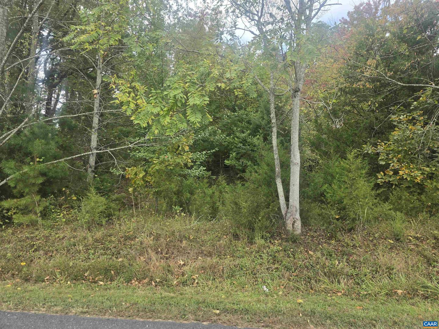 1337 SALEM CHURCH RD, PALMYRA, Virginia 22963, ,Land,For sale,1337 SALEM CHURCH RD,670068 MLS # 670068