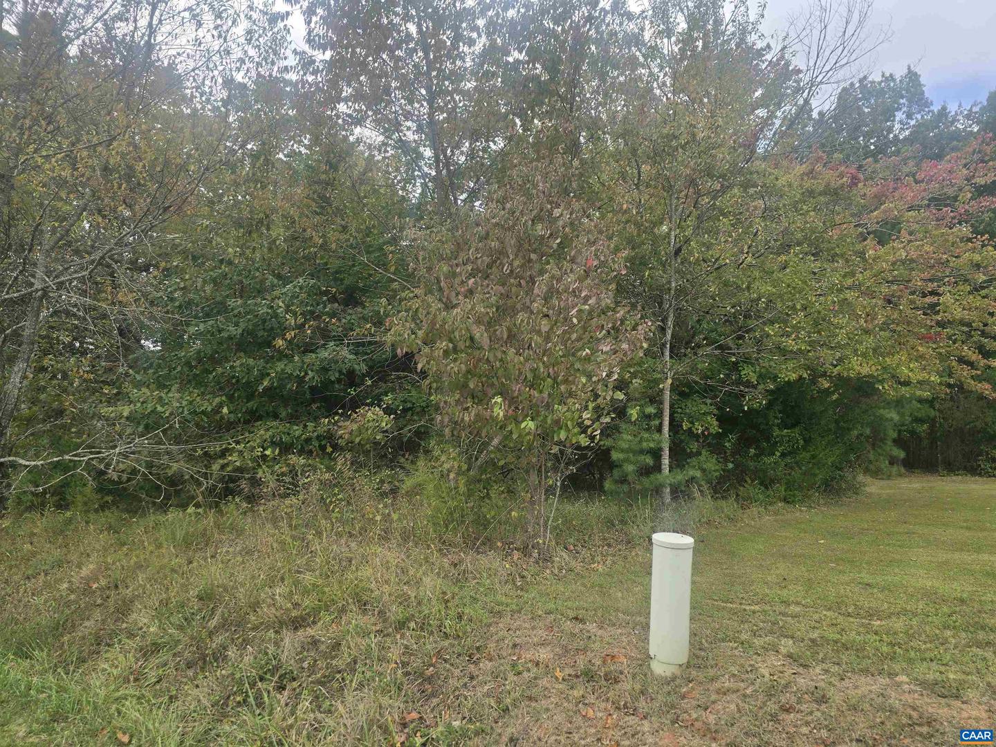 1337 SALEM CHURCH RD, PALMYRA, Virginia 22963, ,Land,For sale,1337 SALEM CHURCH RD,670068 MLS # 670068