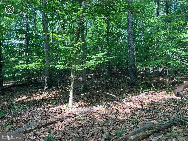 11106 LONESOME, NOKESVILLE, Virginia 20181, 4 Bedrooms Bedrooms, ,3 BathroomsBathrooms,Residential,For sale,11106 LONESOME,VAPW2106090 MLS # VAPW2106090