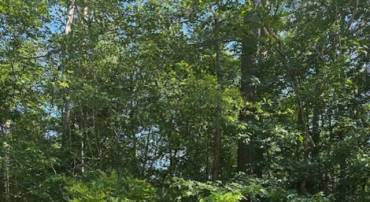 LOT 22 LAKE DRIVE, COLONIAL BEACH, Virginia 22443, ,Land,For sale,LOT 22 LAKE DRIVE,VAWE2009320 MLS # VAWE2009320