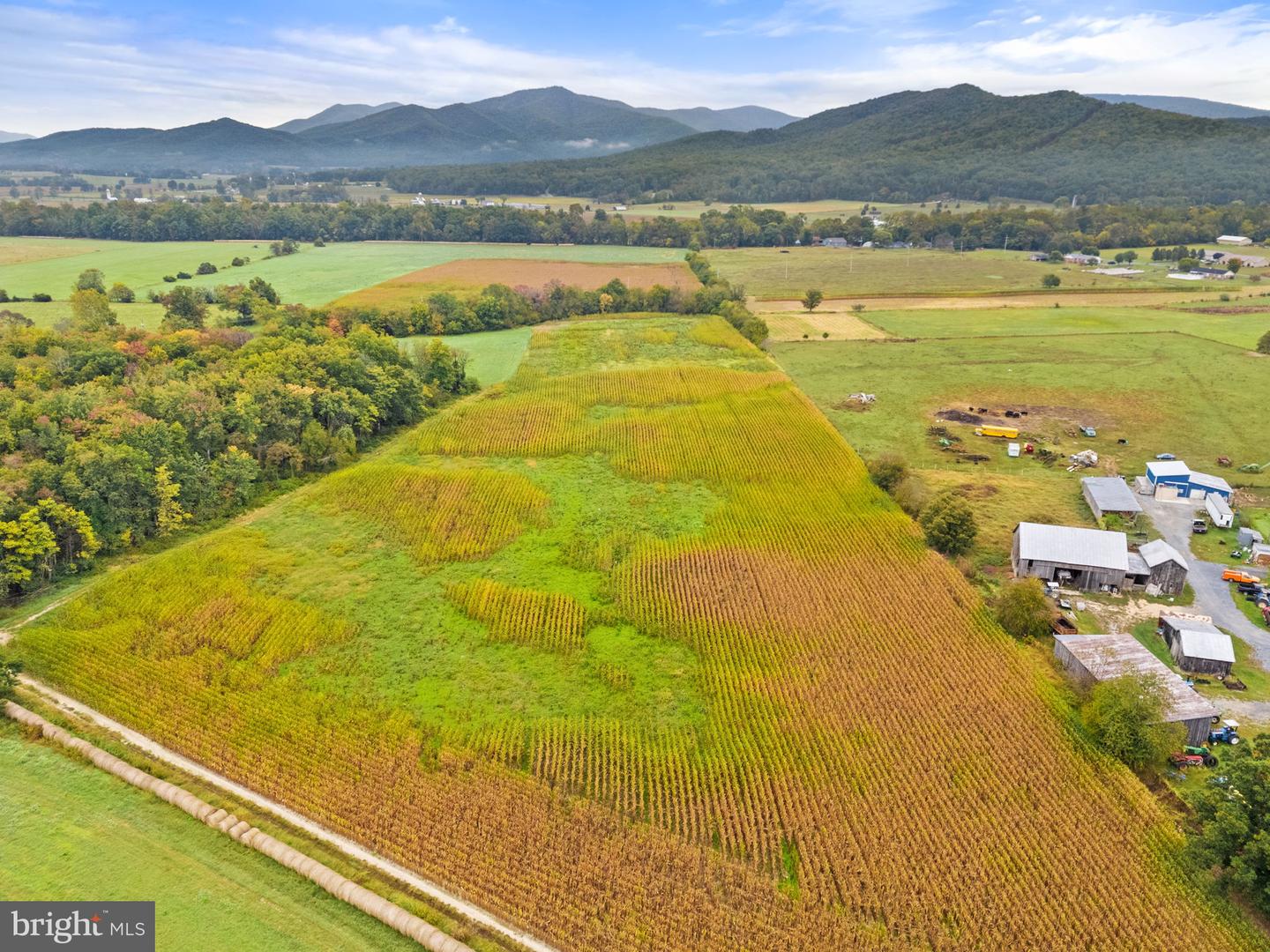 0 FAIRVIEW RD, LURAY, Virginia 22835, ,Land,For sale,0 FAIRVIEW RD,VAPA2005502 MLS # VAPA2005502