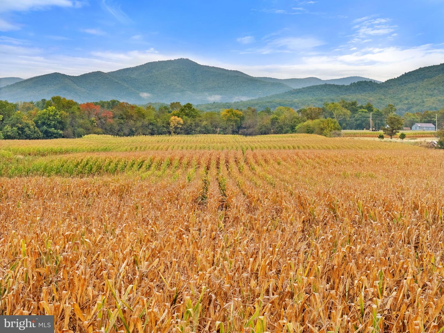 0 FAIRVIEW RD, LURAY, Virginia 22835, ,Land,For sale,0 FAIRVIEW RD,VAPA2005502 MLS # VAPA2005502