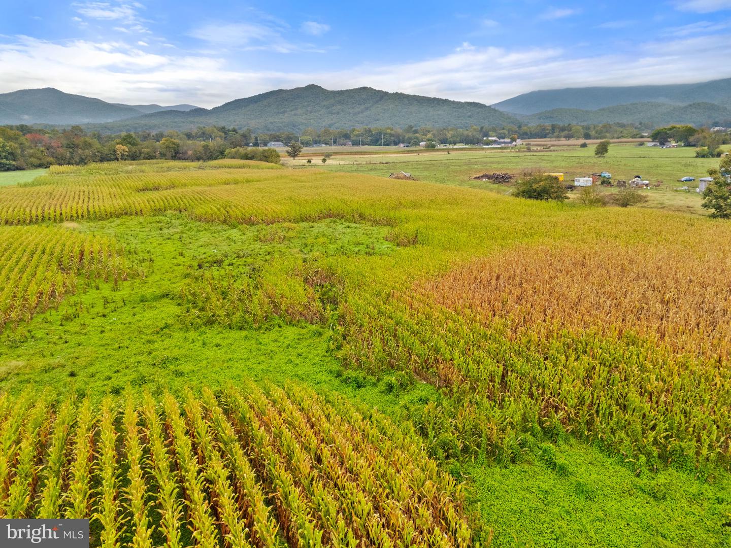 0 FAIRVIEW RD, LURAY, Virginia 22835, ,Land,For sale,0 FAIRVIEW RD,VAPA2005502 MLS # VAPA2005502