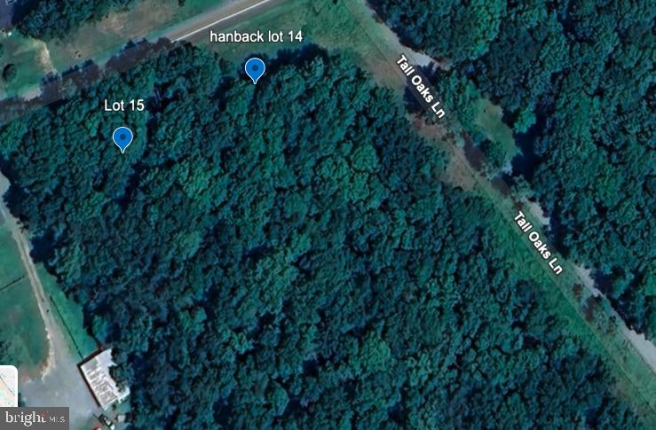 HANBACK ROAD, LOUISA, Virginia 23093, ,Land,For sale,HANBACK ROAD,VALA2008732 MLS # VALA2008732