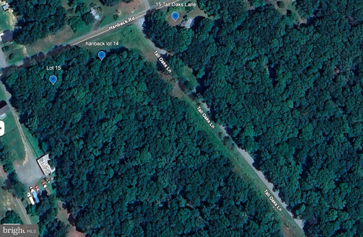 HANBACK ROAD, LOUISA, Virginia 23093, ,Land,For sale,HANBACK ROAD,VALA2008732 MLS # VALA2008732