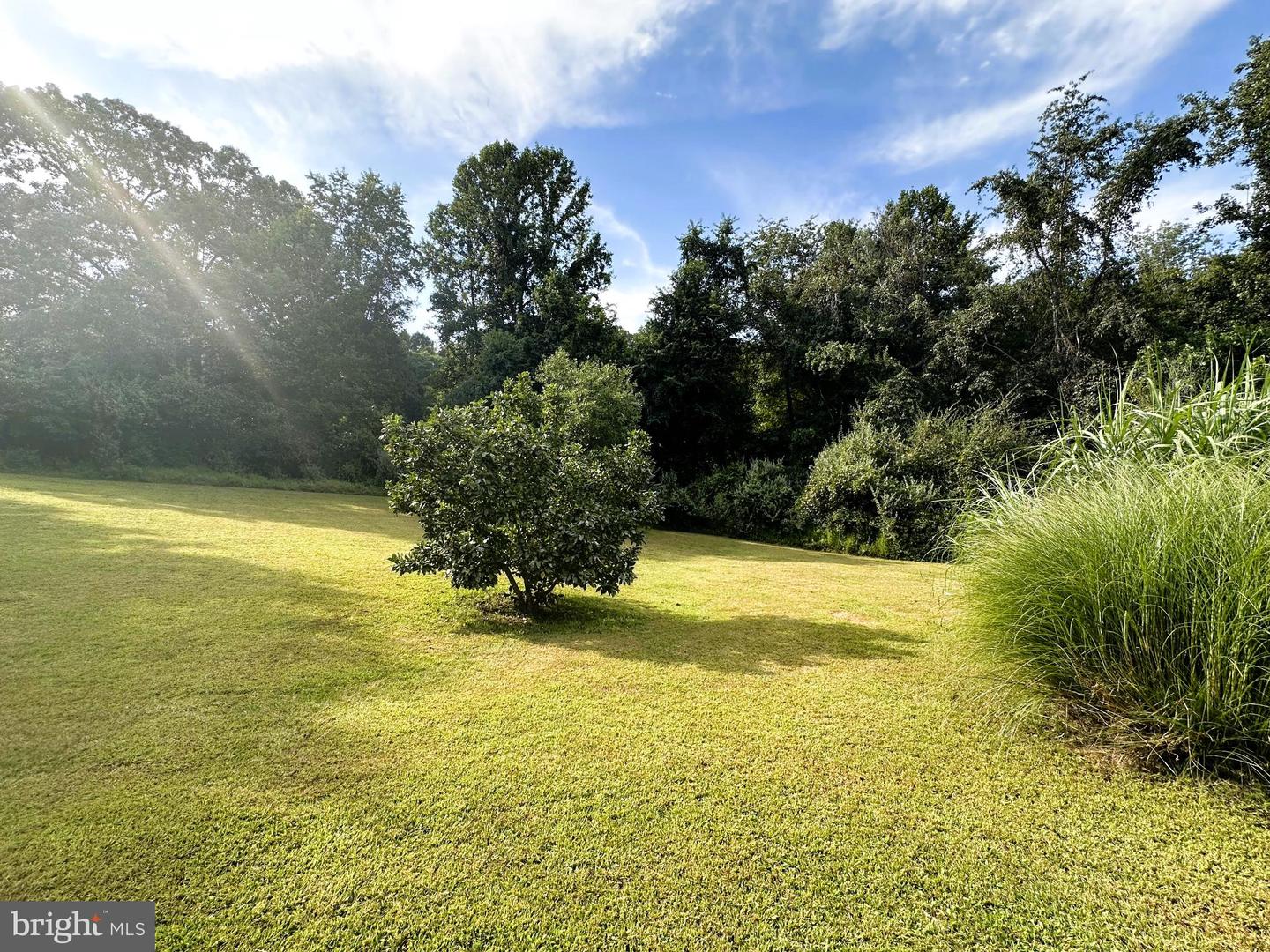 481 MALVERN DR, MADISON, Virginia 22727, 4 Bedrooms Bedrooms, 16 Rooms Rooms,2 BathroomsBathrooms,Residential,For sale,481 MALVERN DR,VAMA2002436 MLS # VAMA2002436