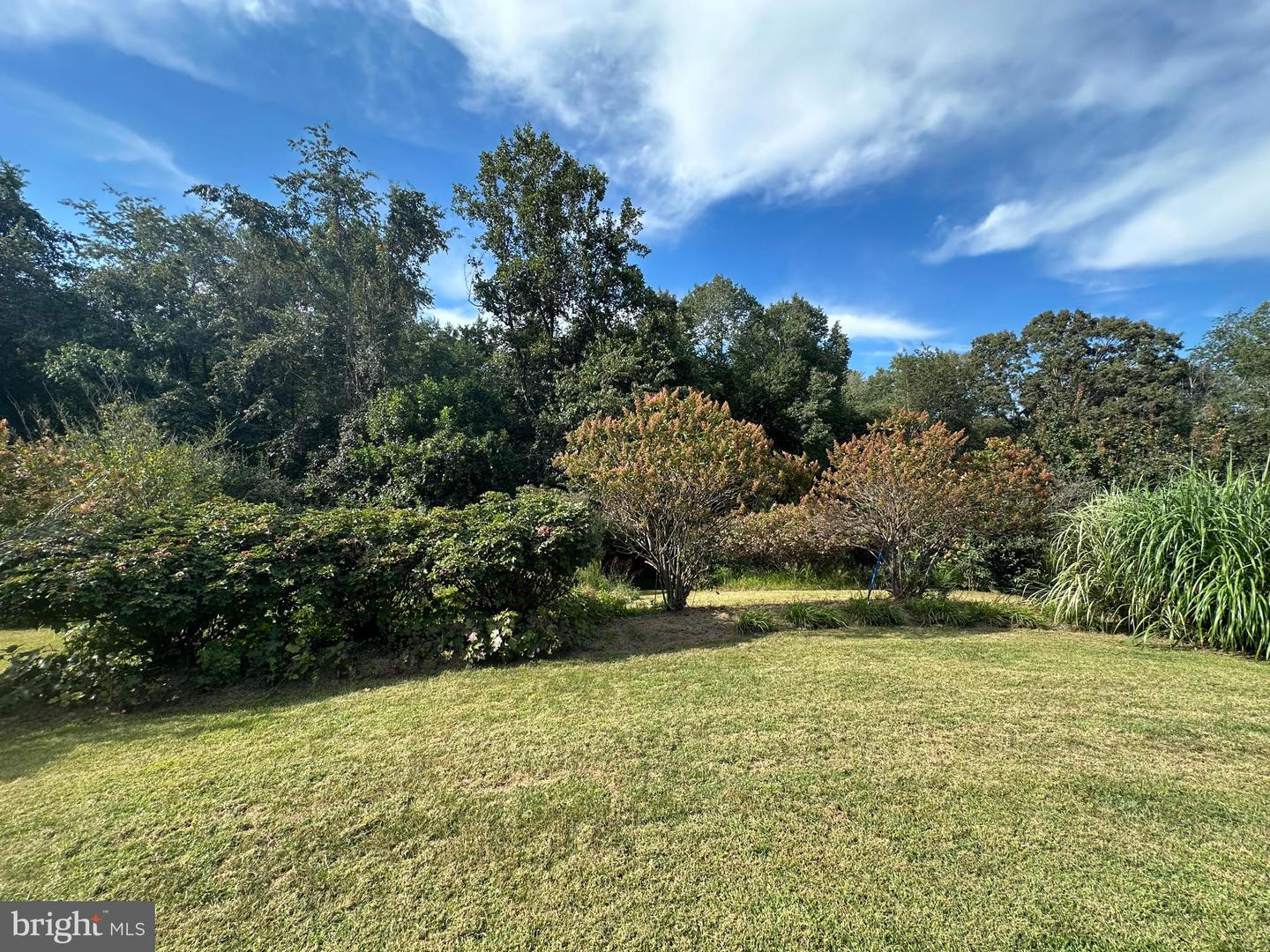 481 MALVERN DR, MADISON, Virginia 22727, 4 Bedrooms Bedrooms, 16 Rooms Rooms,2 BathroomsBathrooms,Residential,For sale,481 MALVERN DR,VAMA2002436 MLS # VAMA2002436