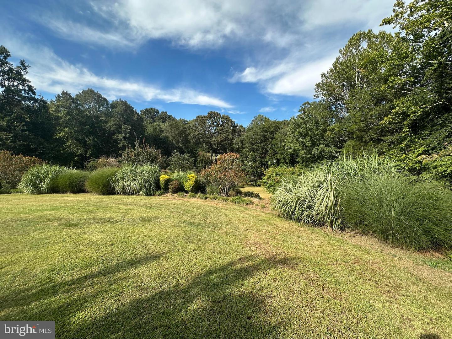 481 MALVERN DR, MADISON, Virginia 22727, 4 Bedrooms Bedrooms, 16 Rooms Rooms,2 BathroomsBathrooms,Residential,For sale,481 MALVERN DR,VAMA2002436 MLS # VAMA2002436