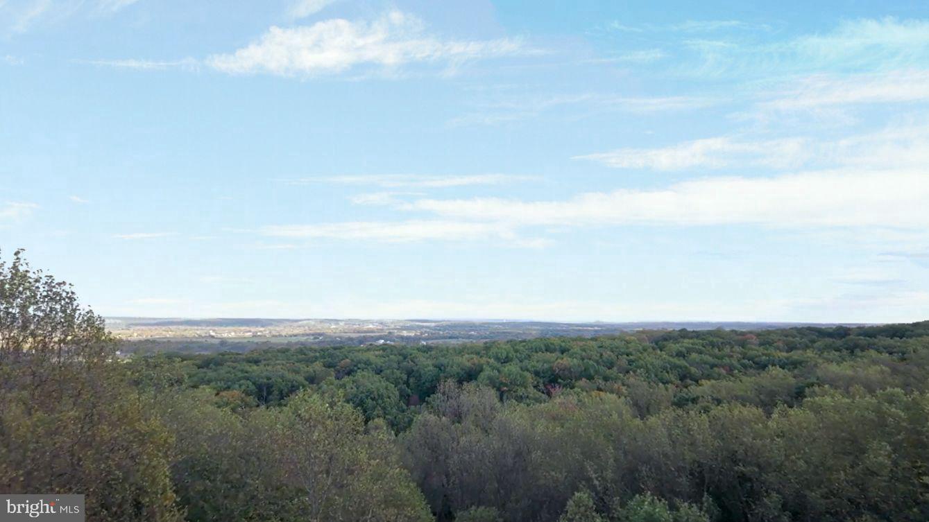 41541 CARTER RIDGE LN, LEESBURG, Virginia 20176, 6 Bedrooms Bedrooms, ,4 BathroomsBathrooms,Residential,For sale,41541 CARTER RIDGE LN,VALO2108264 MLS # VALO2108264