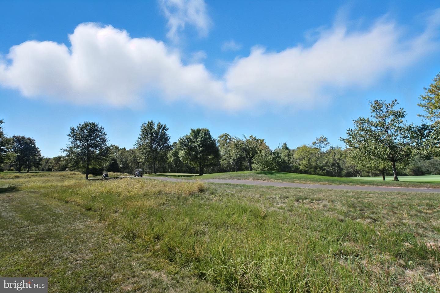 13849 PIEDMONT VISTA DR, HAYMARKET, Virginia 20169, 3 Bedrooms Bedrooms, ,3 BathroomsBathrooms,Residential,For sale,13849 PIEDMONT VISTA DR,VAPW2105406 MLS # VAPW2105406