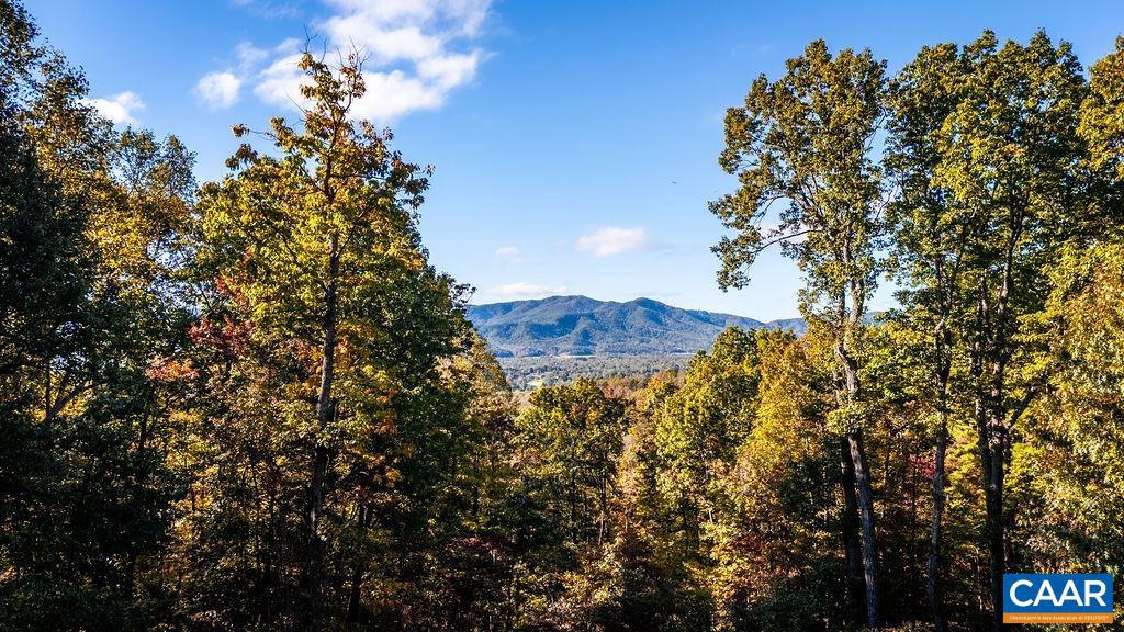 1137 CRAWFORDS CLIMB, NELLYSFORD, Virginia 22958, 4 Bedrooms Bedrooms, ,3 BathroomsBathrooms,Residential,For sale,1137 CRAWFORDS CLIMB,670098 MLS # 670098