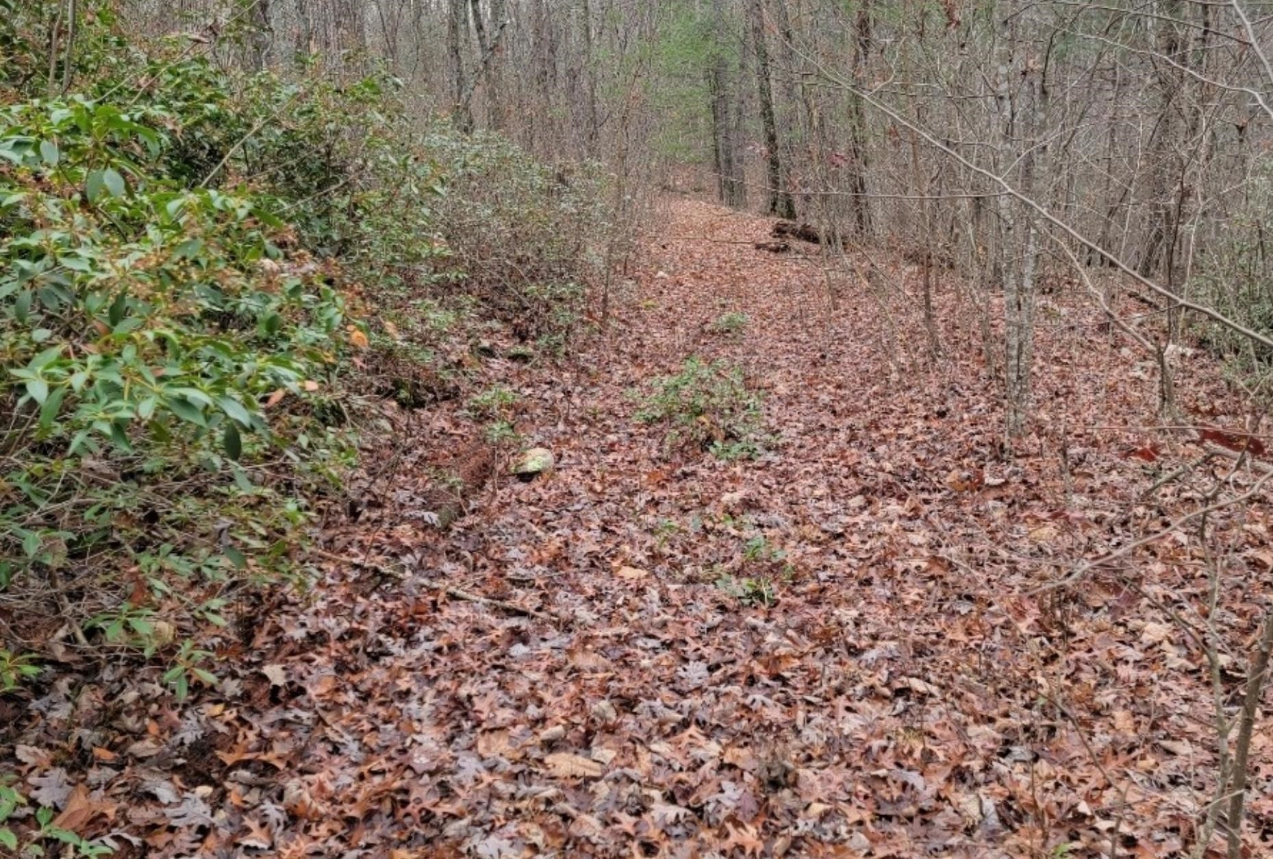 tbd MIRACLE RIDGE RD, ELKTON, Virginia 22827, ,Land,tbd MIRACLE RIDGE RD,670109 MLS # 670109