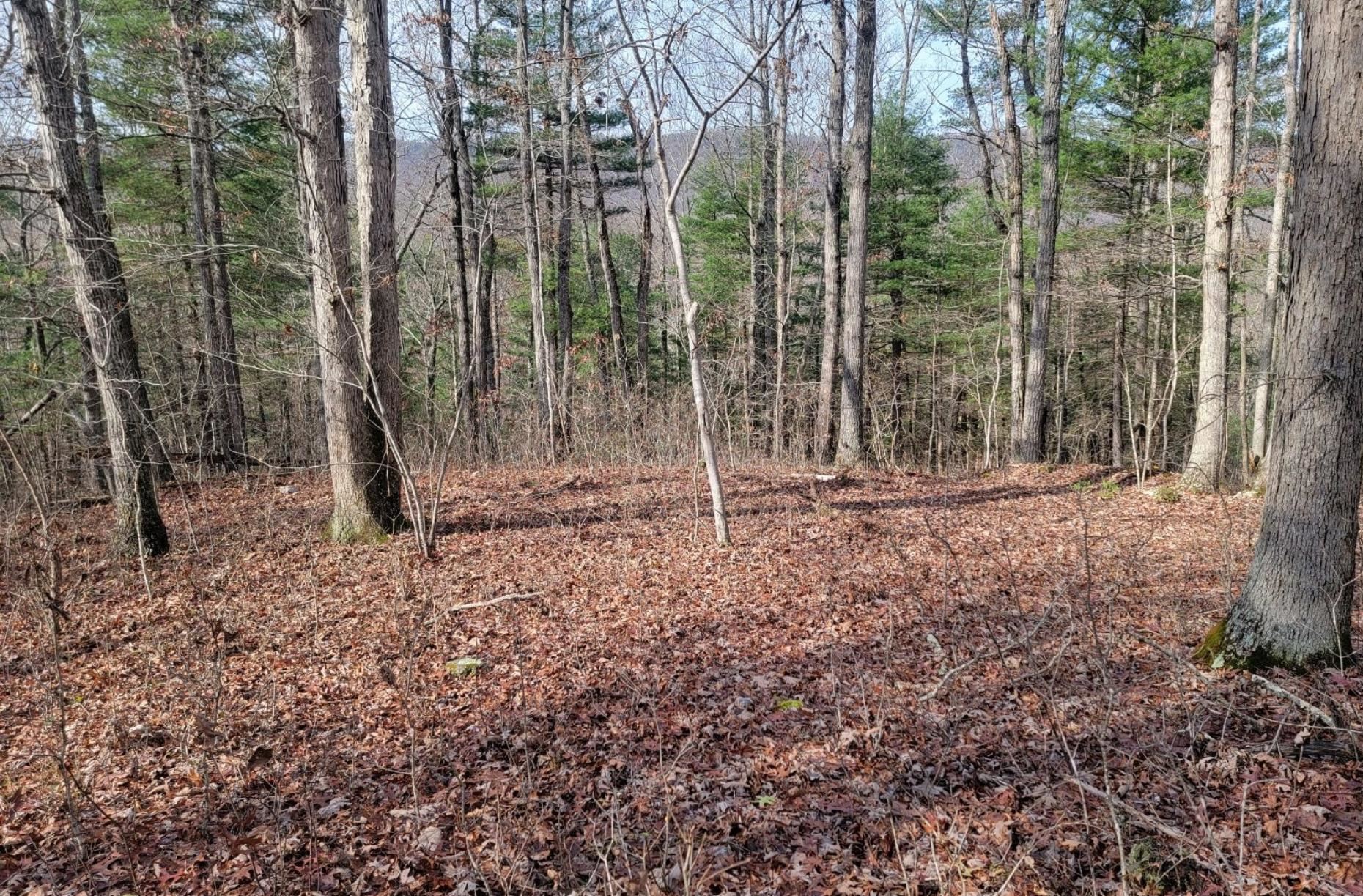 tbd MIRACLE RIDGE RD, ELKTON, Virginia 22827, ,Land,tbd MIRACLE RIDGE RD,670109 MLS # 670109