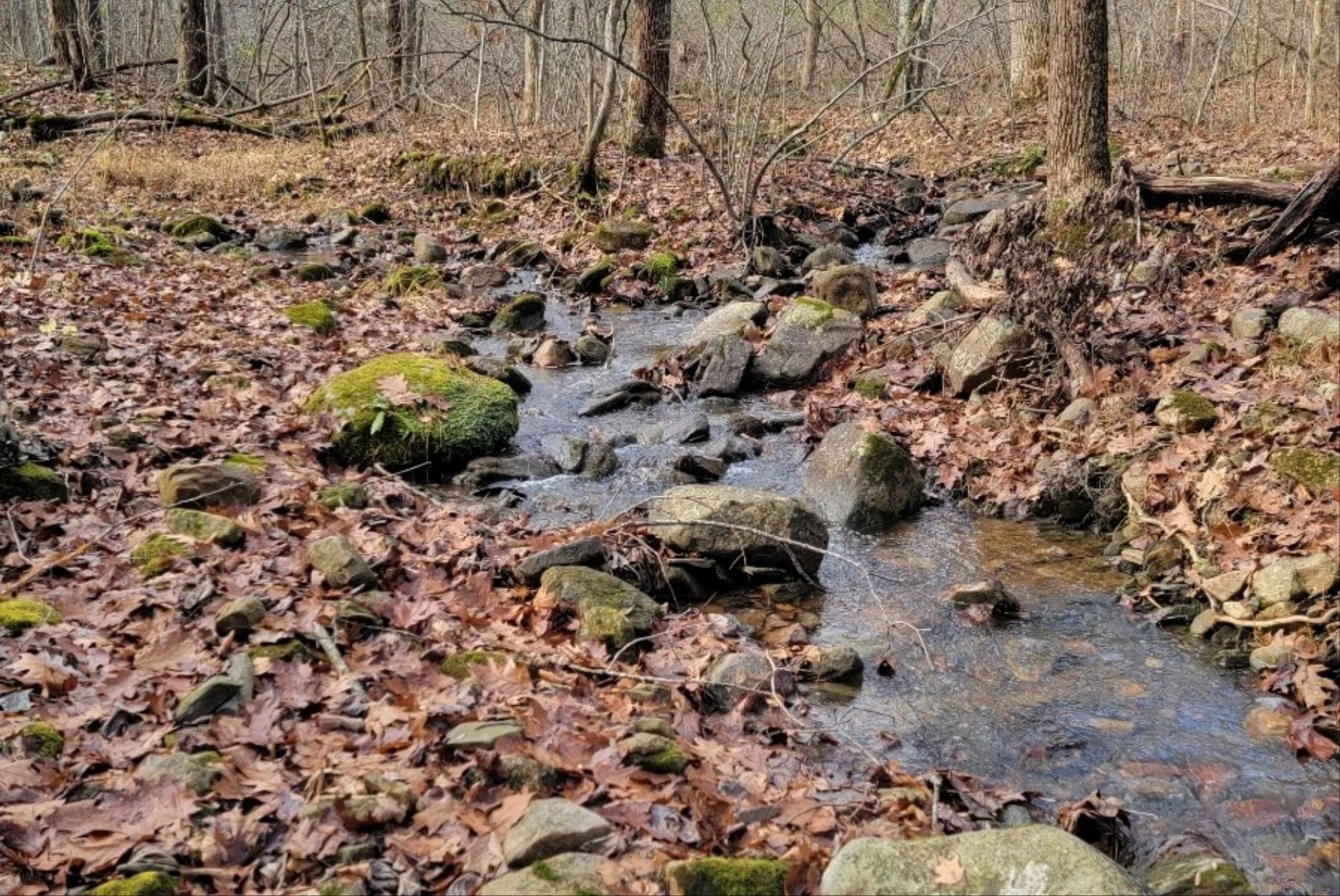tbd MIRACLE RIDGE RD, ELKTON, Virginia 22827, ,Land,tbd MIRACLE RIDGE RD,670109 MLS # 670109