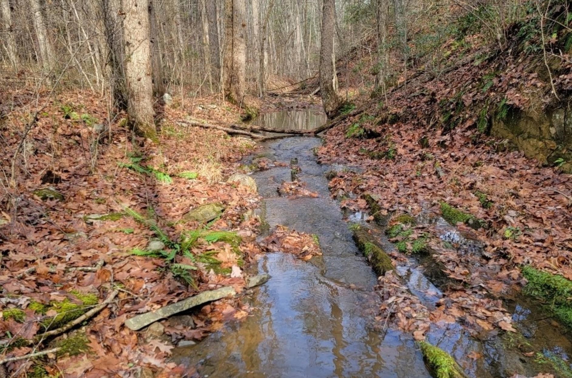 tbd MIRACLE RIDGE RD, ELKTON, Virginia 22827, ,Land,tbd MIRACLE RIDGE RD,670109 MLS # 670109