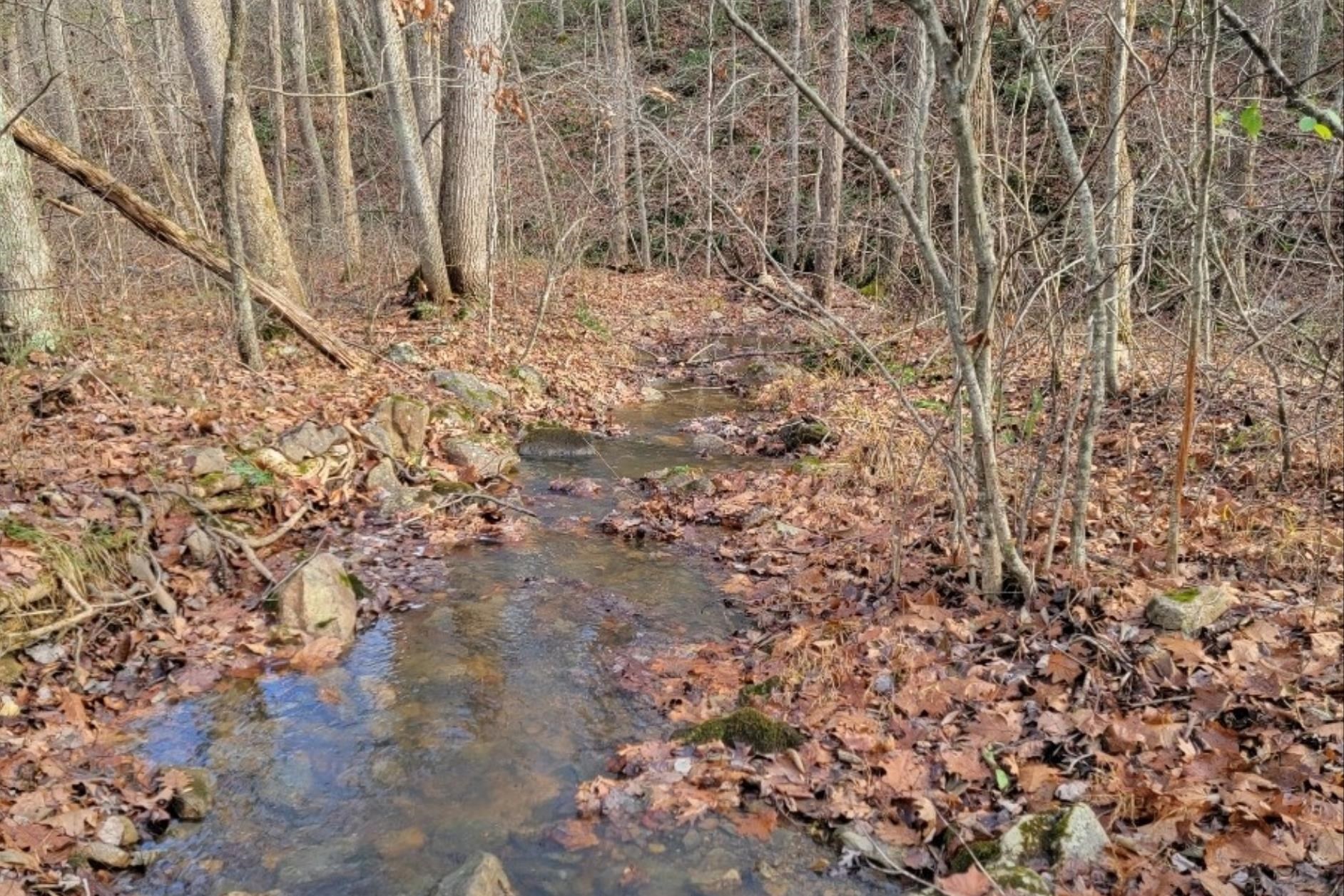 tbd MIRACLE RIDGE RD, ELKTON, Virginia 22827, ,Land,tbd MIRACLE RIDGE RD,670109 MLS # 670109
