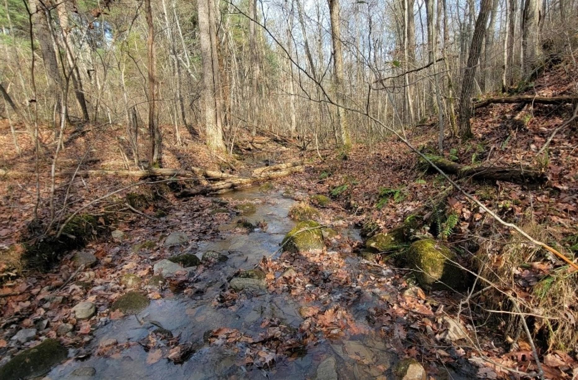 tbd MIRACLE RIDGE RD, ELKTON, Virginia 22827, ,Land,tbd MIRACLE RIDGE RD,670109 MLS # 670109