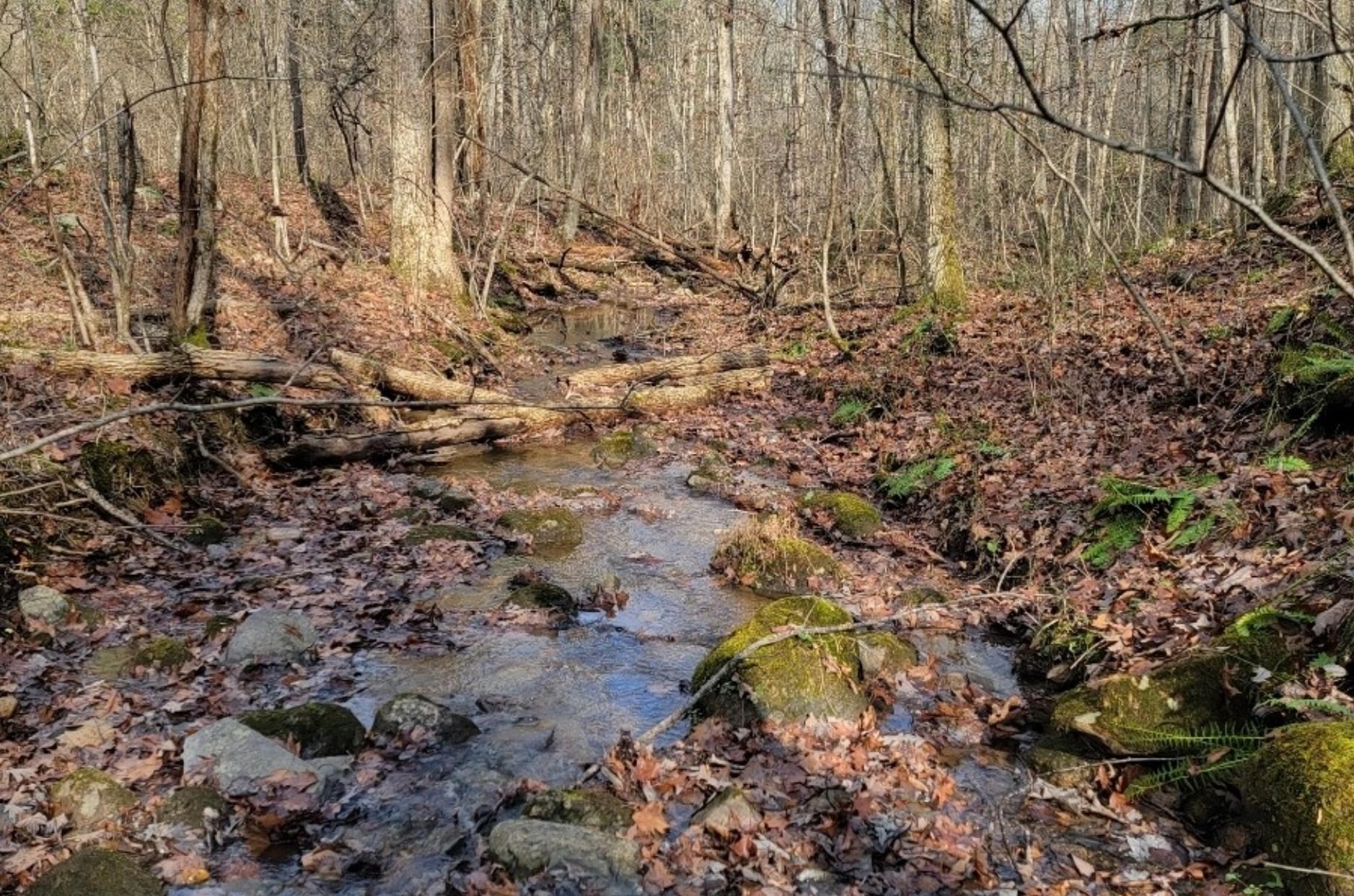 tbd MIRACLE RIDGE RD, ELKTON, Virginia 22827, ,Land,tbd MIRACLE RIDGE RD,670109 MLS # 670109