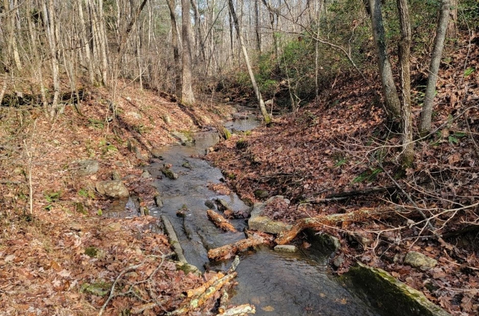 tbd MIRACLE RIDGE RD, ELKTON, Virginia 22827, ,Land,tbd MIRACLE RIDGE RD,670109 MLS # 670109