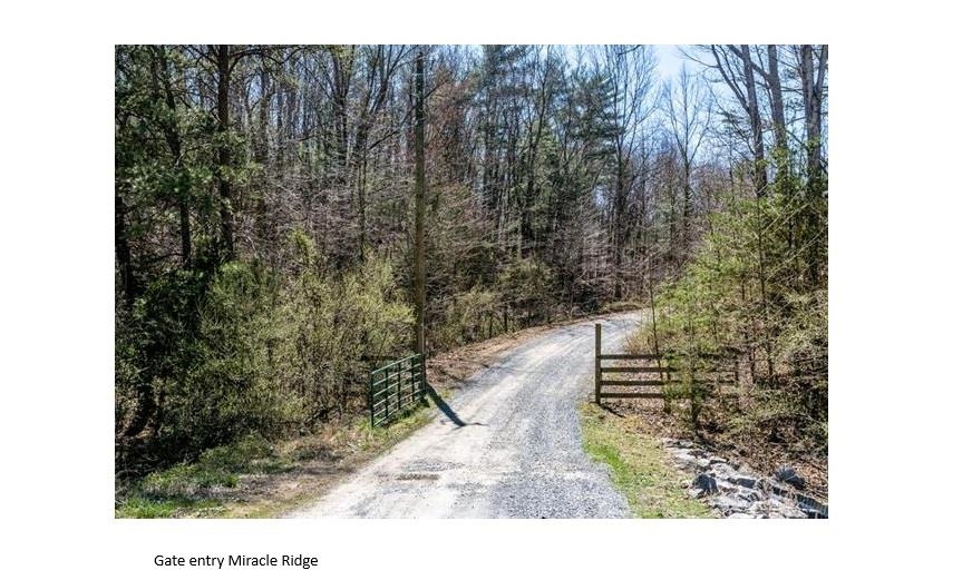 tbd MIRACLE RIDGE RD, ELKTON, Virginia 22827, ,Land,tbd MIRACLE RIDGE RD,670109 MLS # 670109