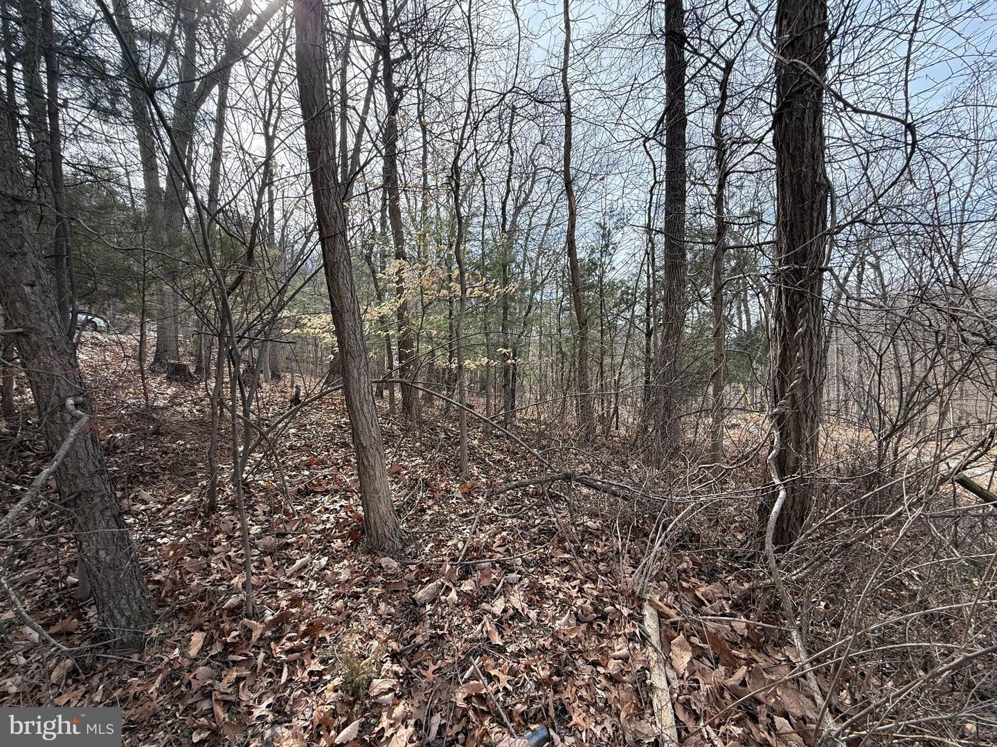 LOT 62 ROACHES RUN RD, FRONT ROYAL, Virginia 22630, ,Land,For sale,LOT 62 ROACHES RUN RD,VAWR2010460 MLS # VAWR2010460