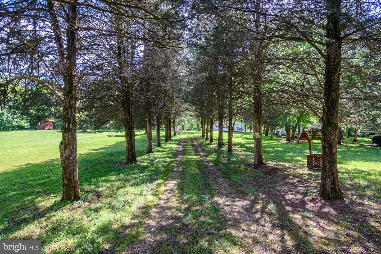 LOT 62 ROACHES RUN RD, FRONT ROYAL, Virginia 22630, ,Land,For sale,LOT 62 ROACHES RUN RD,VAWR2010460 MLS # VAWR2010460