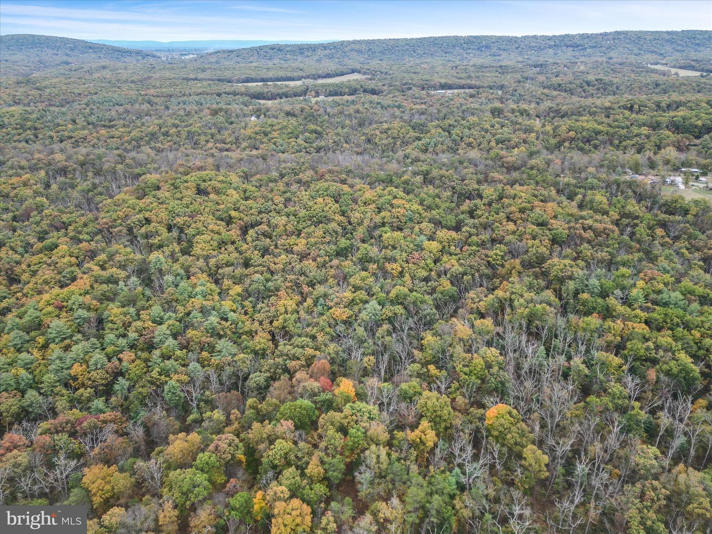 LOT 6 DEER RUN DR, WINCHESTER, Virginia 22602, ,Land,For sale,LOT 6 DEER RUN DR,VAFV2037304 MLS # VAFV2037304