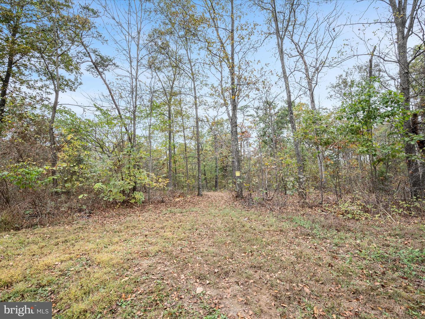 LOT 6 DEER RUN DR, WINCHESTER, Virginia 22602, ,Land,For sale,LOT 6 DEER RUN DR,VAFV2037304 MLS # VAFV2037304