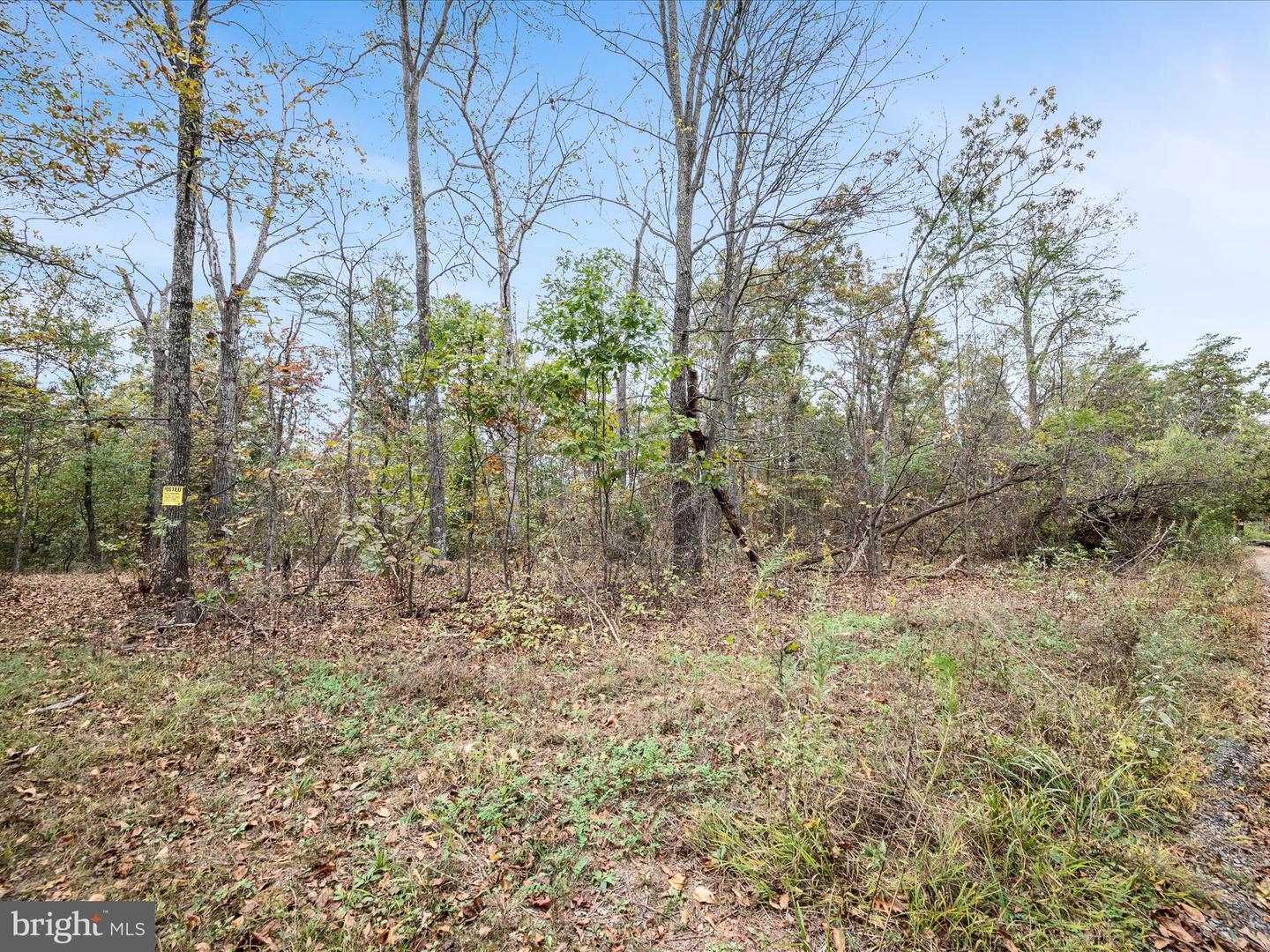 LOT 6 DEER RUN DR, WINCHESTER, Virginia 22602, ,Land,For sale,LOT 6 DEER RUN DR,VAFV2037304 MLS # VAFV2037304