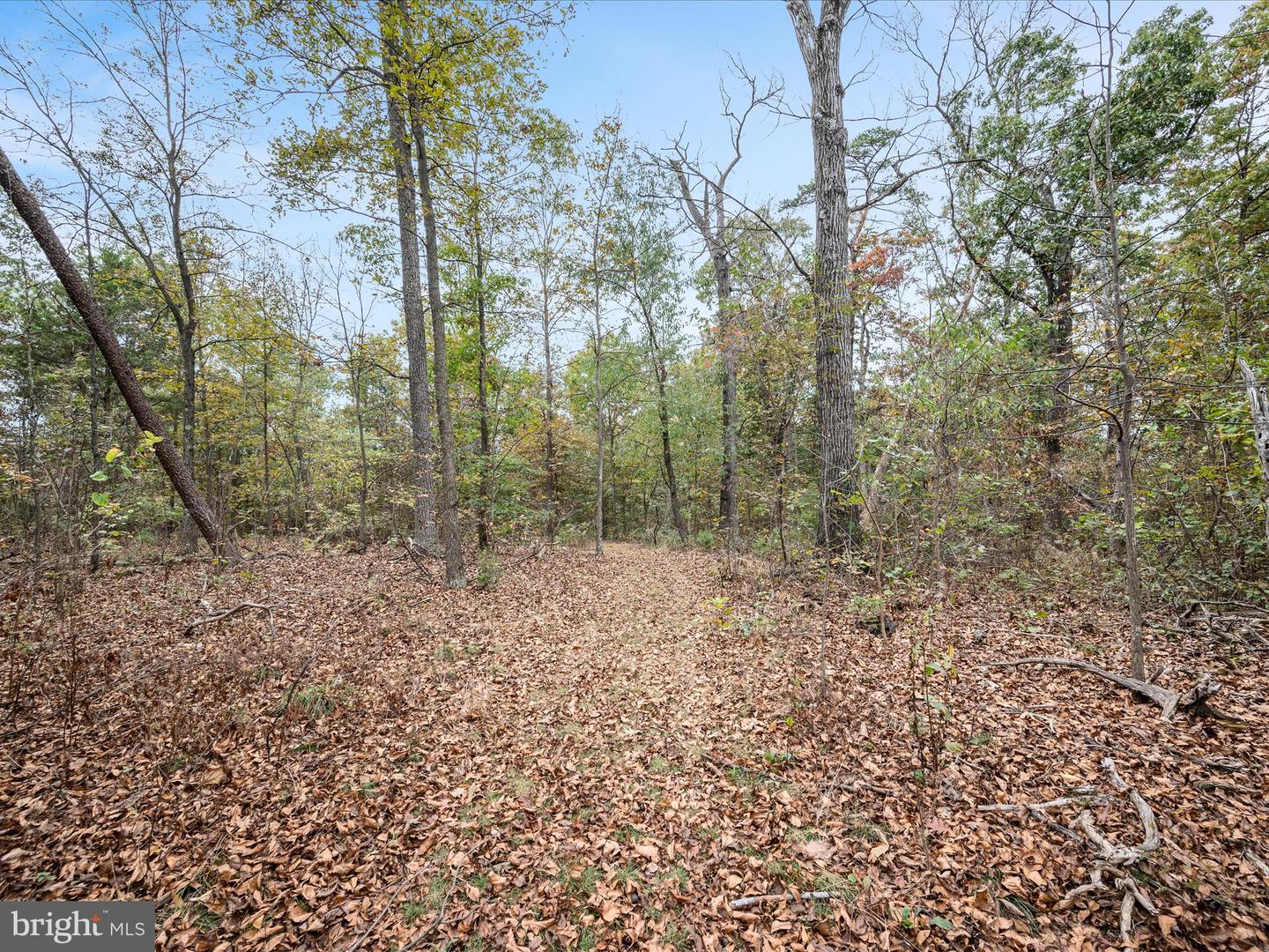 LOT 6 DEER RUN DR, WINCHESTER, Virginia 22602, ,Land,For sale,LOT 6 DEER RUN DR,VAFV2037304 MLS # VAFV2037304