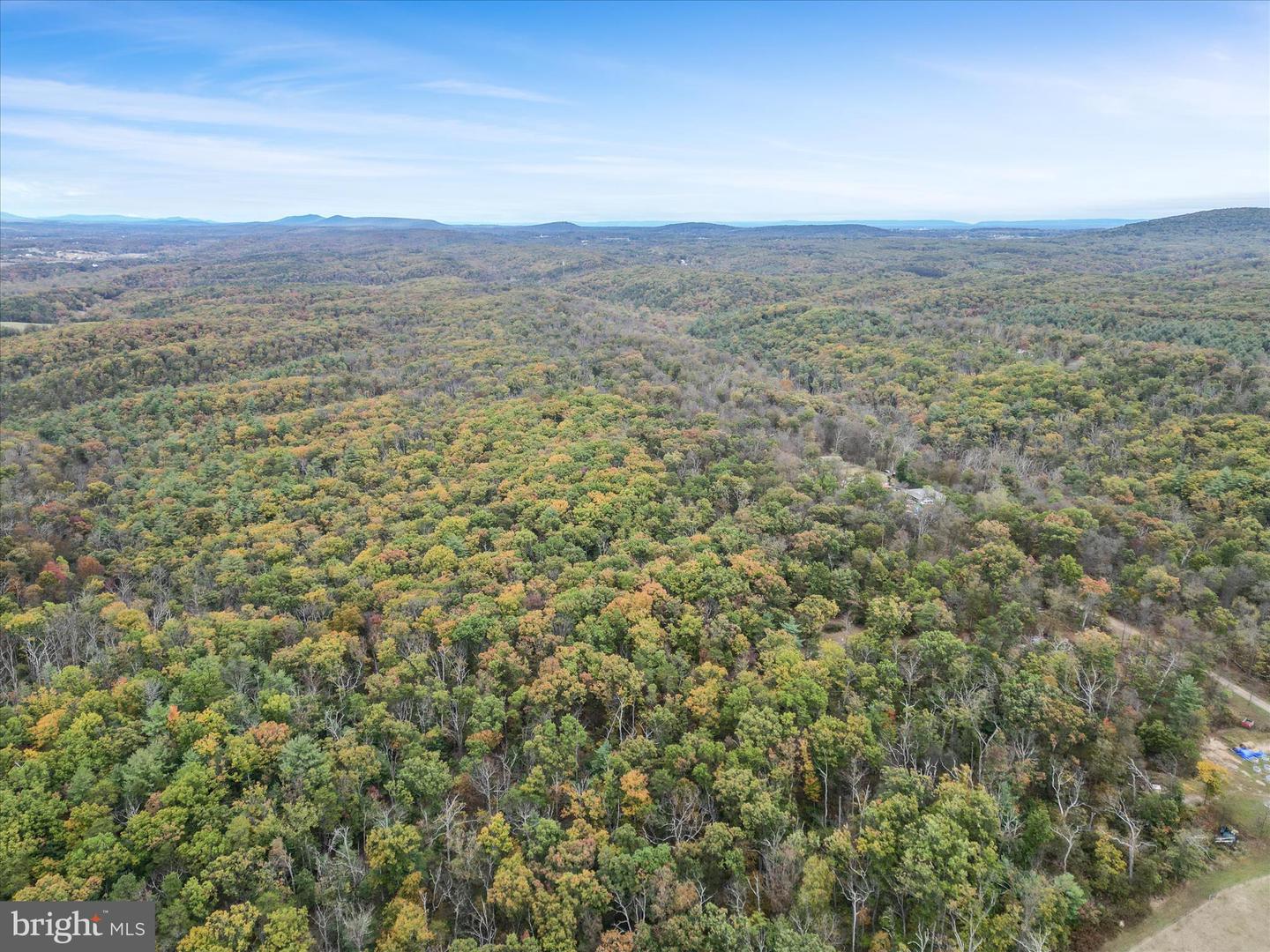 LOT 6 DEER RUN DR, WINCHESTER, Virginia 22602, ,Land,For sale,LOT 6 DEER RUN DR,VAFV2037304 MLS # VAFV2037304