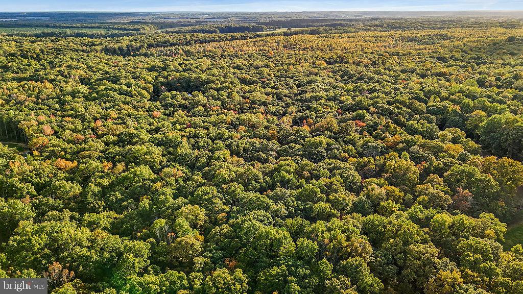 0 OLD PLANK RD, LOCUST GROVE, Virginia 22508, ,Land,For sale,0 OLD PLANK RD,VAOR2012528 MLS # VAOR2012528