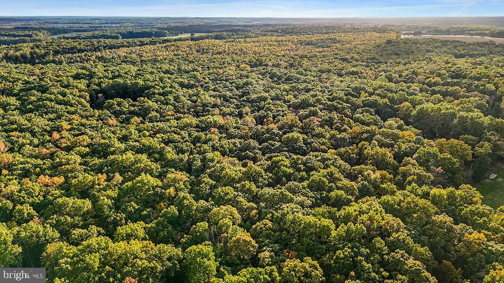 0 OLD PLANK RD, LOCUST GROVE, Virginia 22508, ,Land,For sale,0 OLD PLANK RD,VAOR2012528 MLS # VAOR2012528