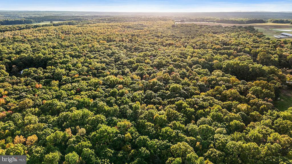 0 OLD PLANK RD, LOCUST GROVE, Virginia 22508, ,Land,For sale,0 OLD PLANK RD,VAOR2012528 MLS # VAOR2012528